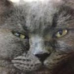 Profile Picture of Yuko Uemura (@yuuunnn24) on Instagram