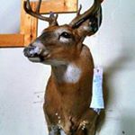 Profile Picture of James Lorencz (@hoyt69) on Instagram
