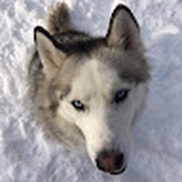 Profile Picture of Craig Tuttle (@craig-tuttle-14) on Quora