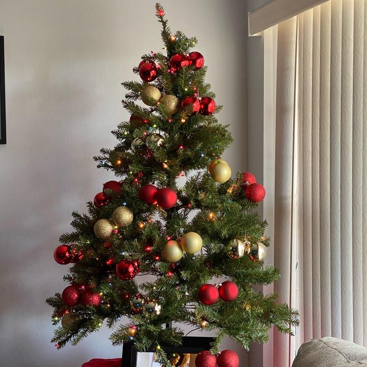 Profile Picture of Barbara Walsh (@@grandmagotswag) on Tiktok