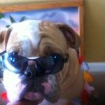 Profile Picture of Jeff Dwyer (@dwyer2499) on Instagram