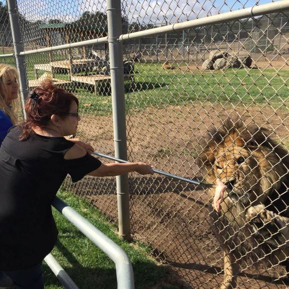 Profile Picture of Toni Kuntzman (@nicechicksts) on Poshmark