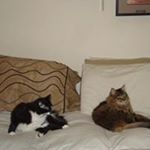 Profile Picture of Mark Lesper (@mark.lesperance.564) on Instagram