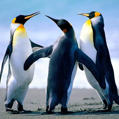 Profile Picture of Darrell Dj Malone (@Hax_bro) on Twitter