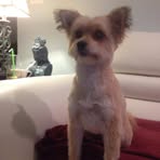 Profile Picture of Coco Shall (@coco.shall.9) on Facebook