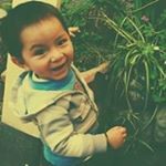 Profile Picture of Jessenia Tipula Arispe (@tipulaarispe) on Instagram