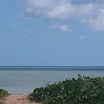 Profile Picture of Simone Holmes (@simone.holmes.549) on Instagram