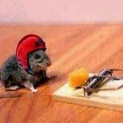 Profile Picture of George Combs (@gcgc0124) on Twitter