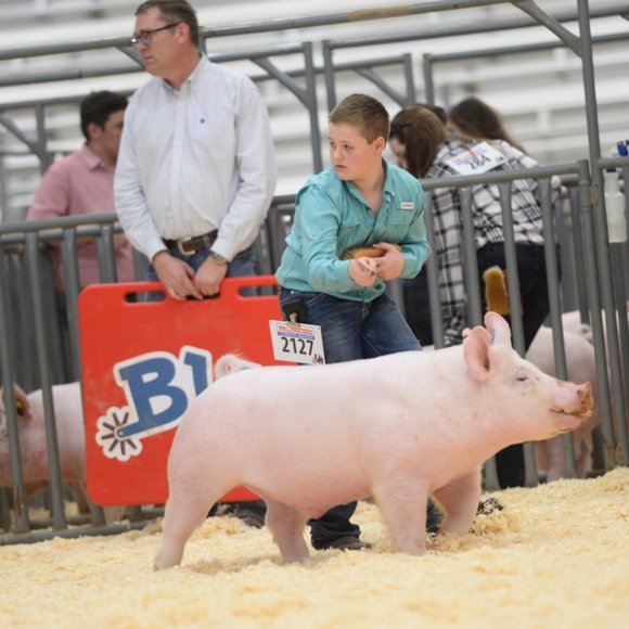 Profile Picture of Anson Davis (@ansondavis) on Poshmark