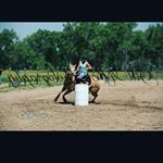 Amber Ewoldt - Instagram Profile Picture of Amber Ewoldt (@ambiiebambiie420) on Instagram