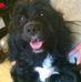 Profile Picture of Mark Melcher (@mark.melcher.520) on Facebook