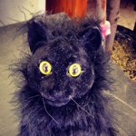 Profile Picture of Adam Bagley (@broomonic) on Instagram