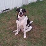 Profile Picture of Alvin Branham (@branhamalvin) on Instagram