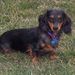 Profile Picture of Scott Jessee (@jessee2134) on Pinterest