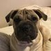 Profile Picture of Jeffrey Mcnutt (@jmcnutt730) on Pinterest