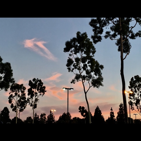 Profile Picture of Sandy Valerio (@sandyv_14) on Poshmark