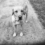 Profile Picture of Melissa Scott La Londe (@lalonde7248) on Instagram