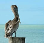 Profile Picture of Shirley Drummond Kreachbaum (@shirley.drummondkreachbaum) on Facebook