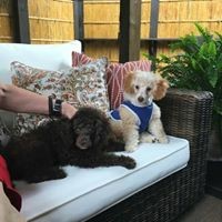 Profile Picture of Betsy Johnson (@betsy-johnson-46) on Quora