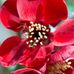 Profile Picture of George Weingart (@george.weingart.3) on Facebook