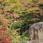 Profile Picture of 岡山県立森林公園 (@pref.forestpark) on Instagram