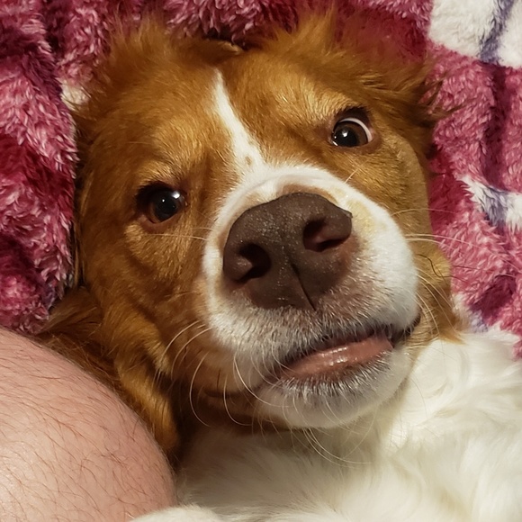 Profile Picture of Chris Kinney (@chriskin19) on Poshmark