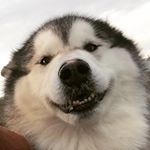 Profile Picture of Adam Osborne (@tinners_478) on Instagram