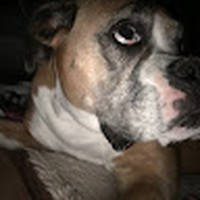 Profile Picture of Haley Pollock (@haley-pollock-14) on Quora