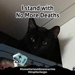 Profile Picture of Nancy Buffenmyer (@nansueb) on Instagram