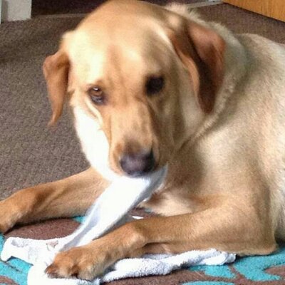 Profile Picture of Paul Crozier (@paul6230s3) on Twitter