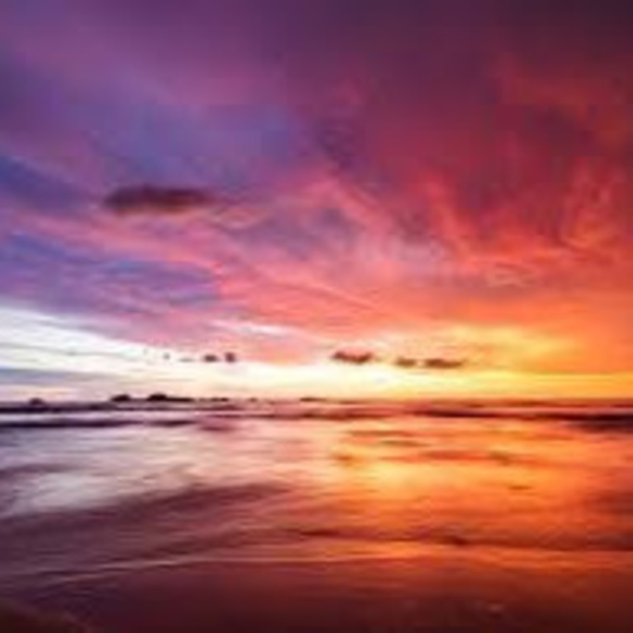 Profile Picture of Monica Toczylowski (@m_toczylowski) on Poshmark