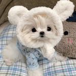 Profile Picture of Mihaela Simić (@mihaelasimic) on Instagram