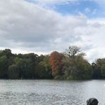 Marius Kunold - Instagram Profile Picture of Marius Kunold (@kunoldmarius) on Instagram