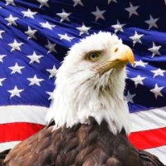 Profile Picture of Lt. Col. Ray Tilton (@LtColraytilton) on Twitter