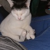 Profile Picture of Eleanor Lewis (@@eleanoralicia2101) on Tiktok