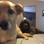 Profile Picture of Jordan Neighbors (@jneigh2020) on Instagram