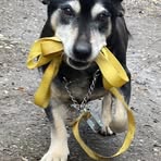 Richard Binder - Facebook Profile Picture of Richard Binder (@Richard-Binder) on Facebook