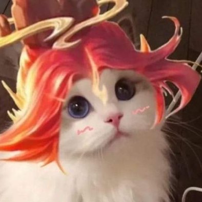 Profile Picture of Morganchew (@Morganchew9) on Twitter