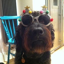 Profile Picture of Jackie Bevan (@JackoBevan) on Twitter