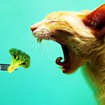 Profile Picture of Starr Duncan (@starrduncan8) on Instagram