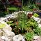 Profile Picture of Marilyn Bray (@jim.bray.75054689) on Facebook