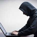 Profile Picture of Peter Whitman. (@whitman.peter) on Instagram