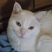 Profile Picture of Kye Loch (@Kye-Loch) on Facebook