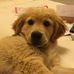 Profile Picture of David Conder (@david.conder.77) on Facebook