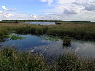 Profile Picture of De Groote Peel National Parkon Wikipedia