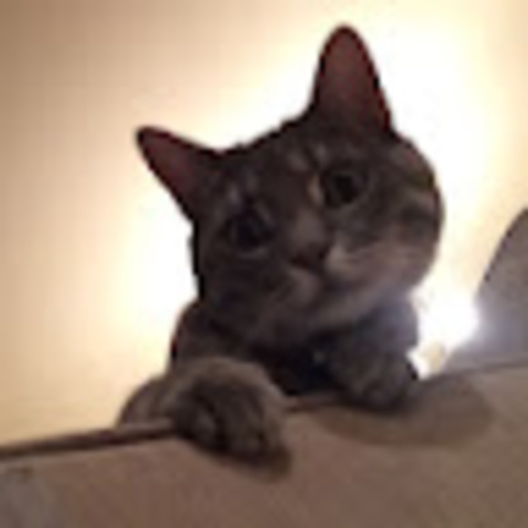 Profile Picture of Alex Rico (@mangacomics88) on Poshmark