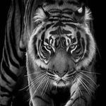 Alex Glebov - Instagram Profile Picture of Alex Glebov (@alex_glebov_161) on Instagram