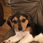 Profile Picture of Cory Harper (@coryharper8718) on Instagram