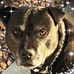 Profile Picture of Cindy Krogh (Cindy Galbreath Krogh) (@cindy.krogh.52) on Facebook