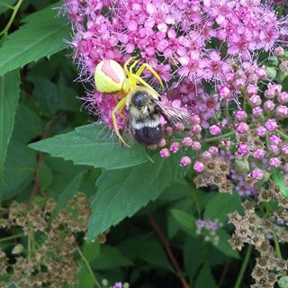 Profile Picture of Debbie Hewey (@Debbie-Hewey) on Facebook